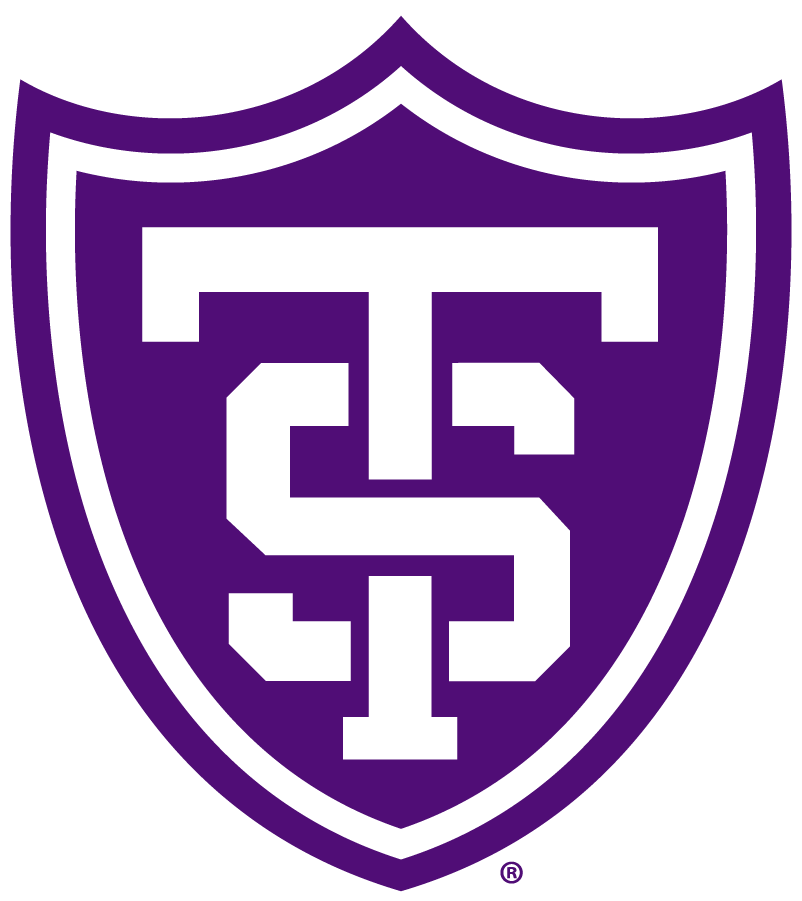 St. Thomas Tommies 2009-Pres Primary Logo iron on transfers for clothing